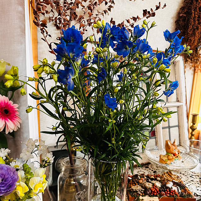 megmilkさんの実例写真