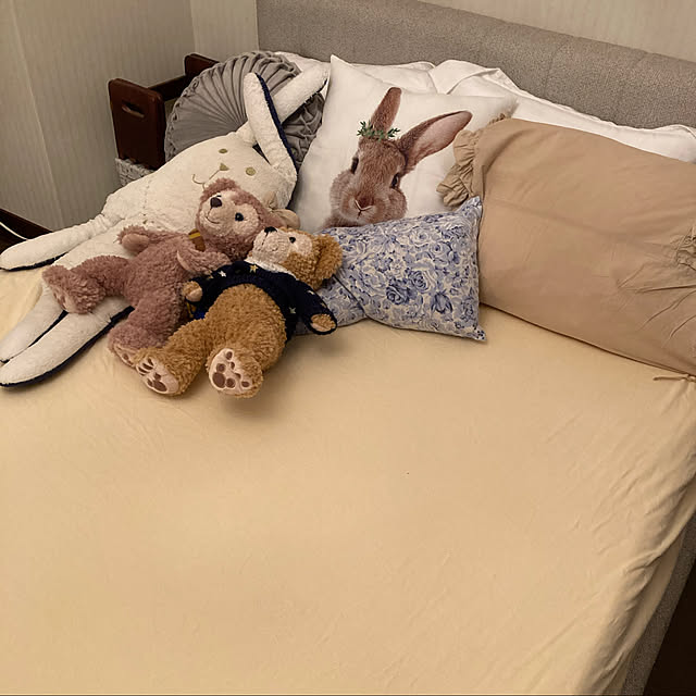 peco_travellerさんの実例写真
