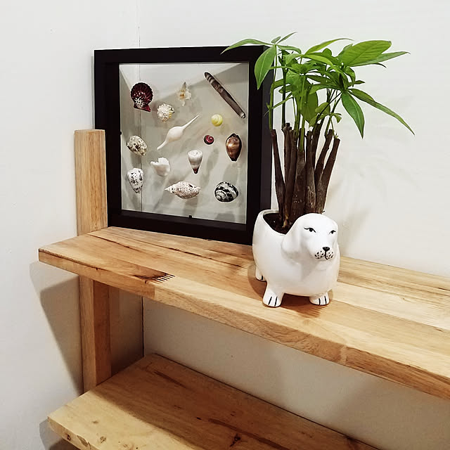 hsinlunさんの実例写真