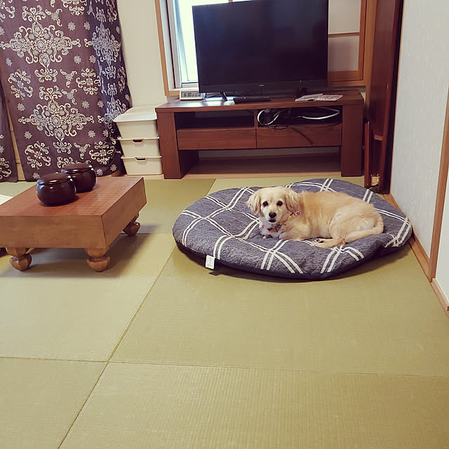 chihaさんの実例写真