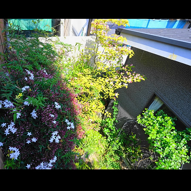 aromameさんの実例写真
