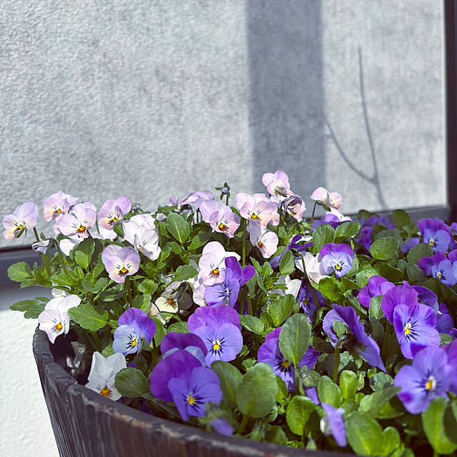 tokimaさんの部屋