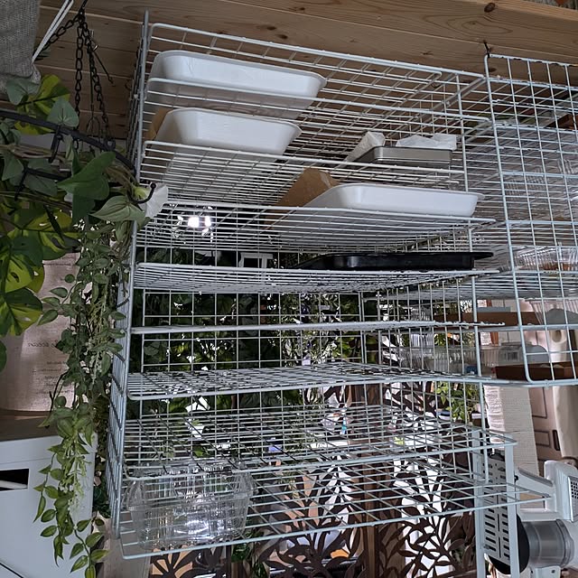 mori_6_12さんの部屋