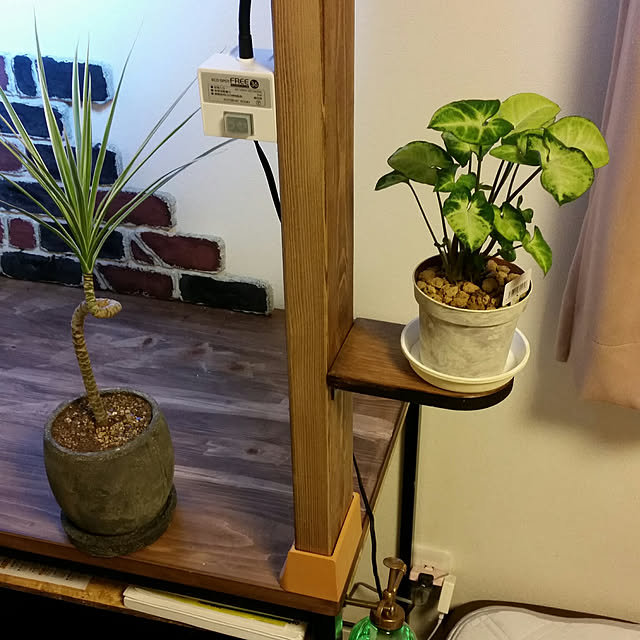 goriさんの実例写真
