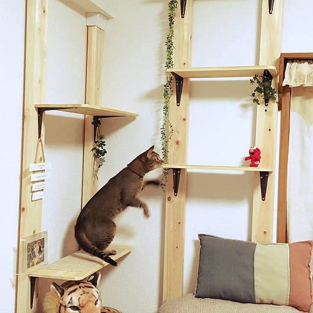 Akemiさんの実例写真