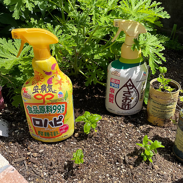 nokkoさんの実例写真