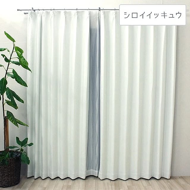 youaiさんの実例写真