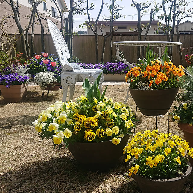 t1ma0honeyさんの実例写真