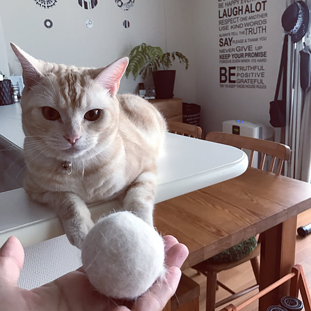 hiyupan88さんの実例写真