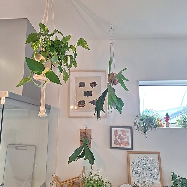 otokiさんの部屋