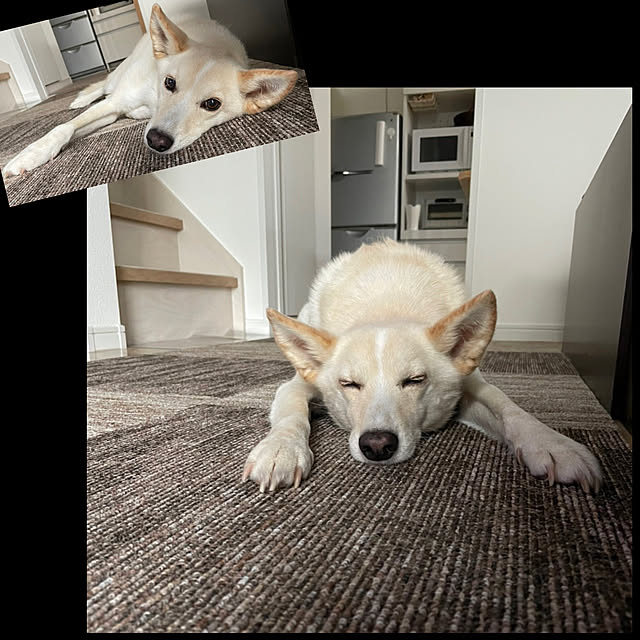 tanboさんの実例写真
