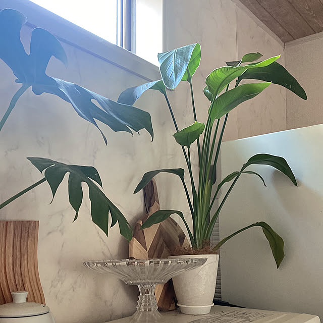 mii_home_39さんの実例写真