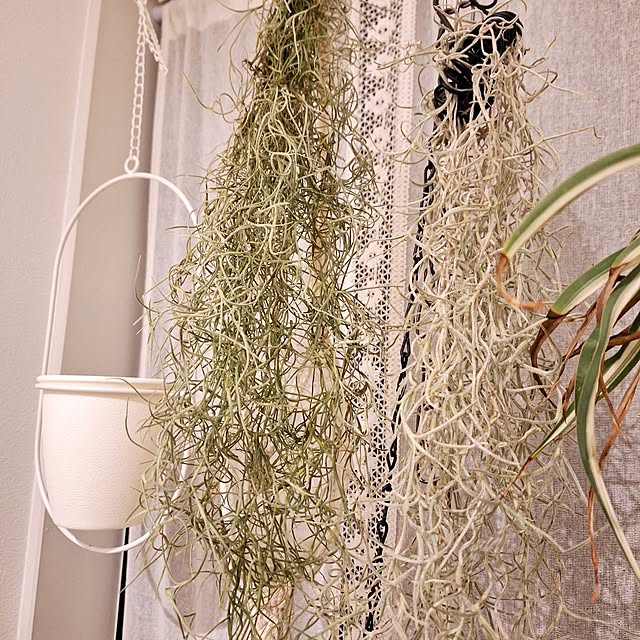 otokiさんの部屋
