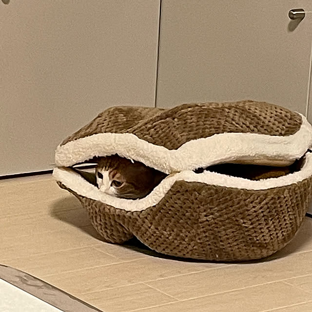 jurikenさんの実例写真