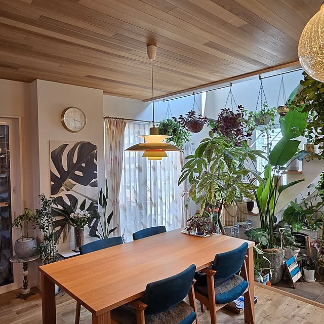 nonbiri_house_さんの部屋