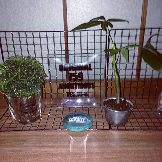mikyuさんの実例写真