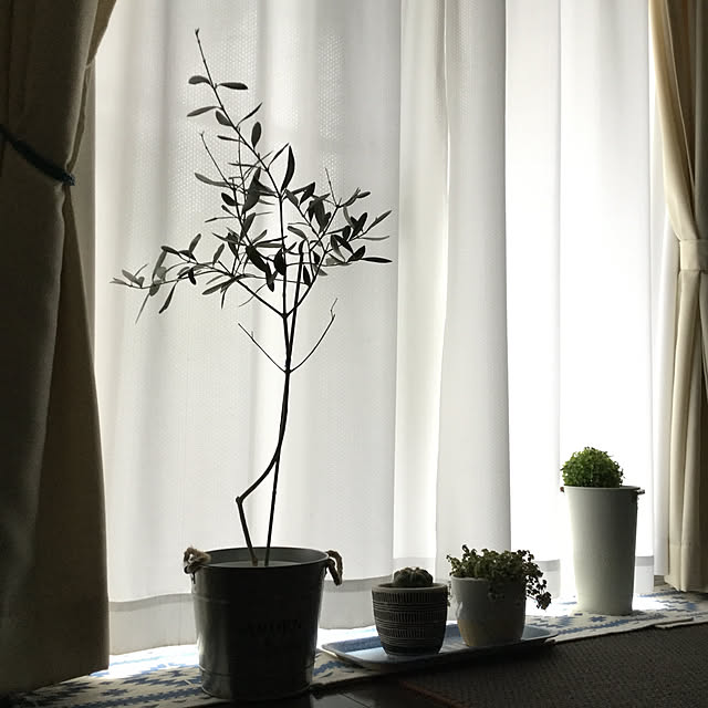 yukkin29さんの実例写真