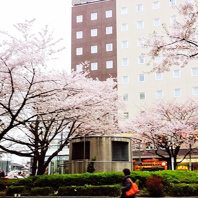 alicecarrollさんの実例写真