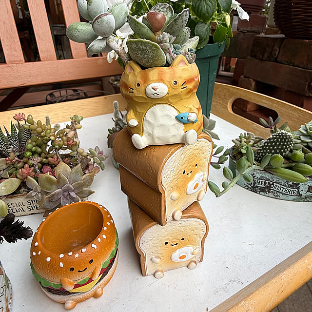 Aqettyさんの部屋