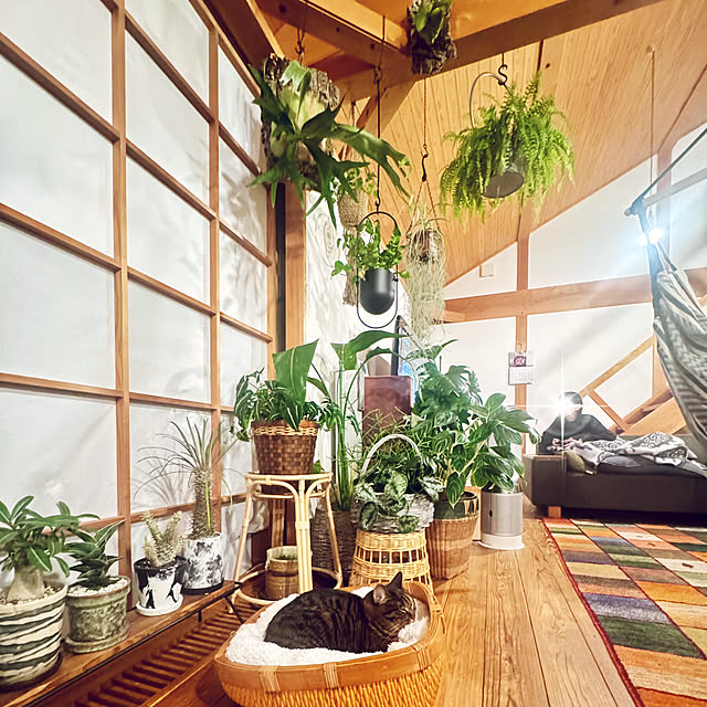onsix777さんの実例写真