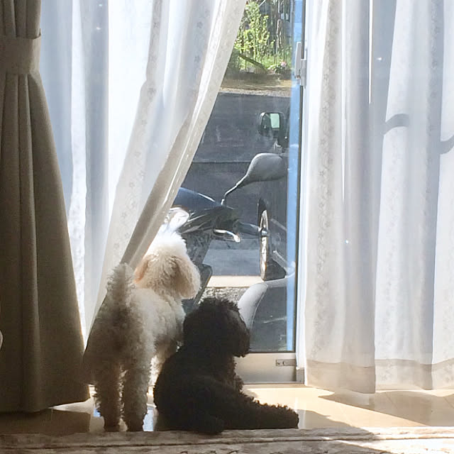 Rieさんの実例写真