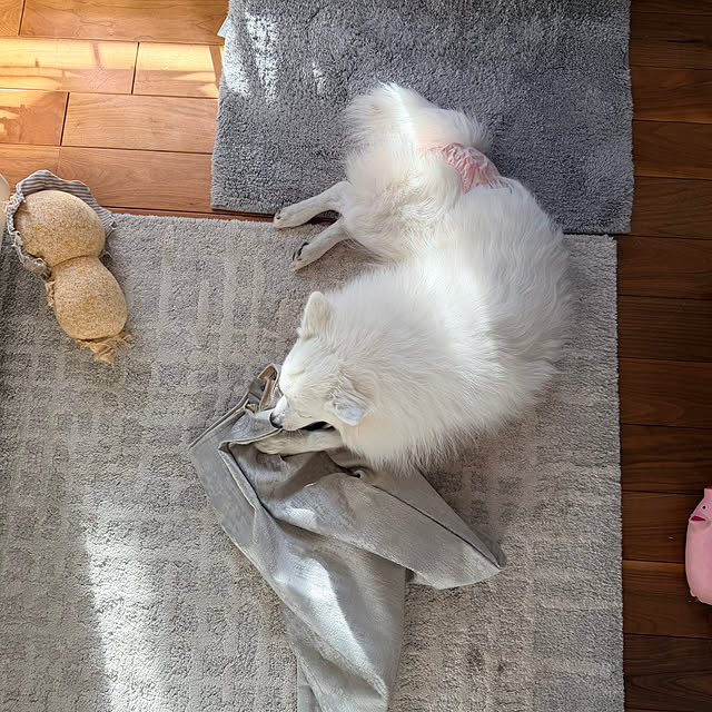 nuruiさんの部屋