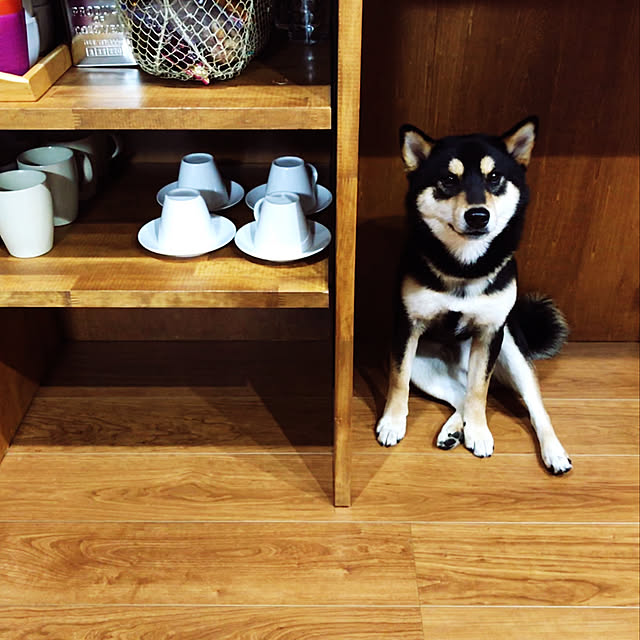 Megumiさんの実例写真