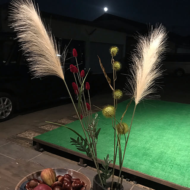 実例写真