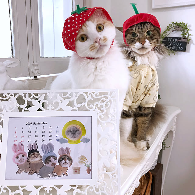 yuchiさんの実例写真