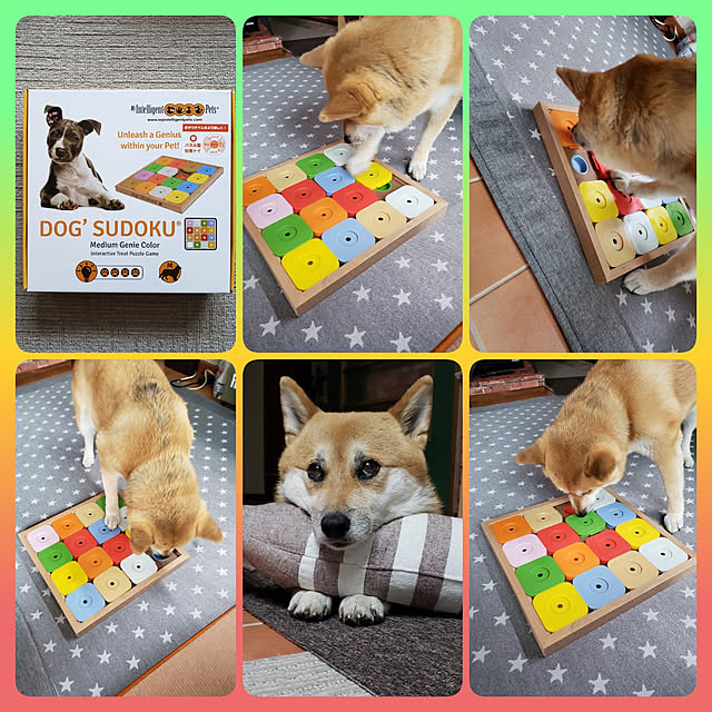 nanaさんの実例写真