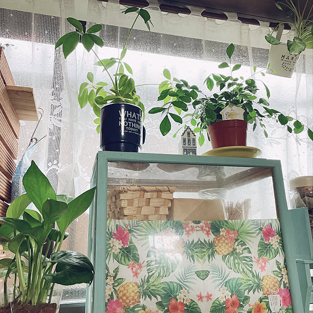 meiさんの実例写真