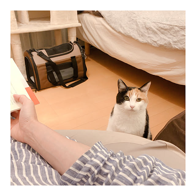 warashibeさんの実例写真