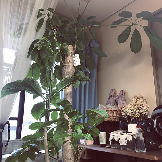 anzuheart_may16さんの実例写真