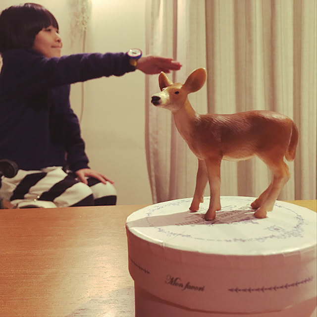 satomisatoさんの実例写真