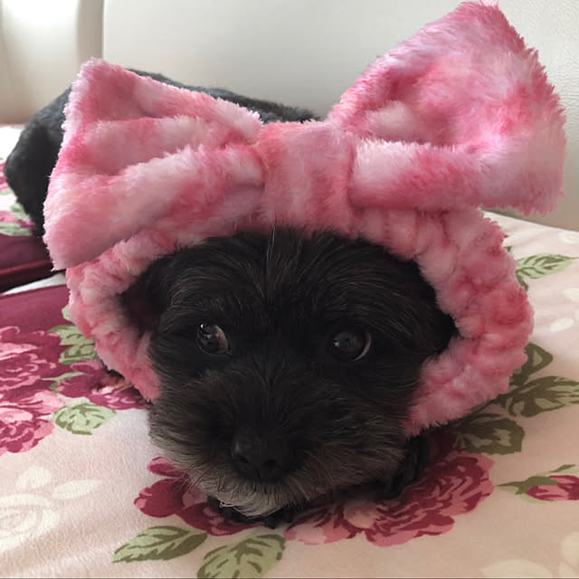 Ruriさんの実例写真