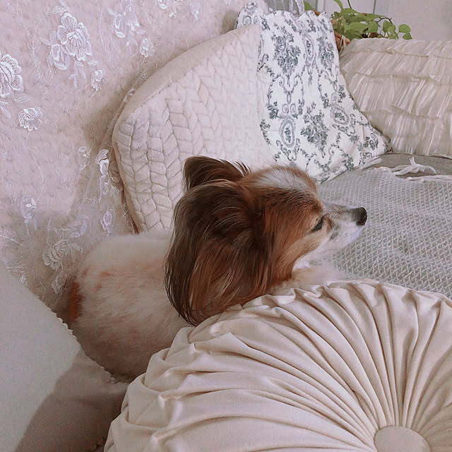 hiroさんの部屋
