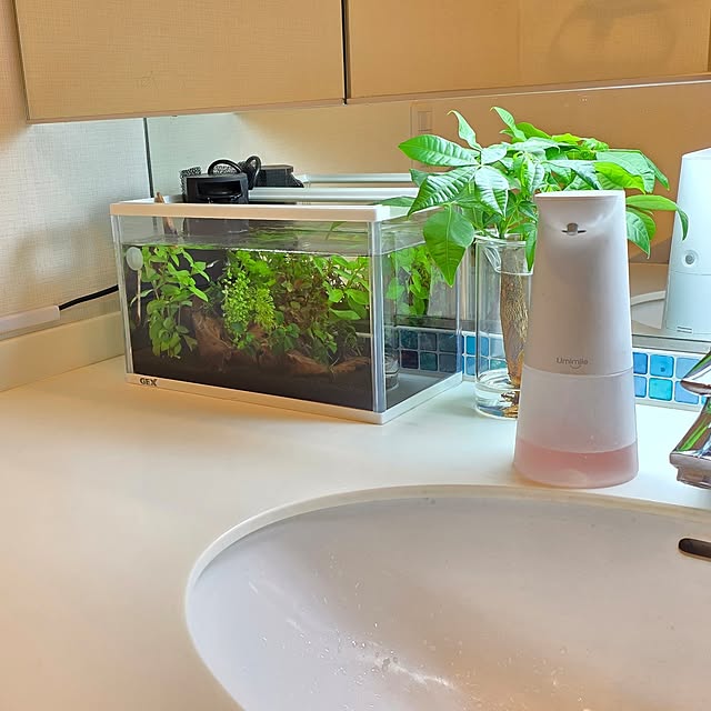 mint_greenさんの実例写真
