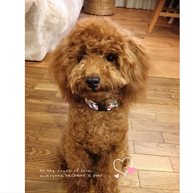 tomoさんの実例写真
