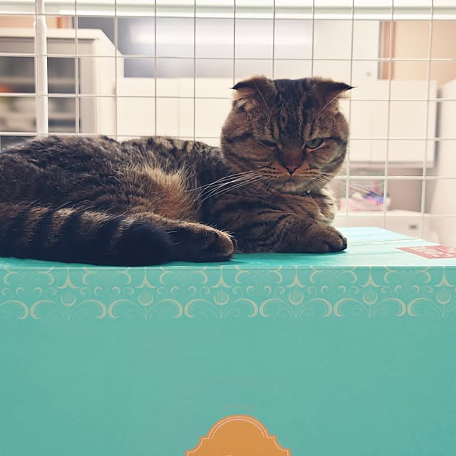 noguriさんの部屋