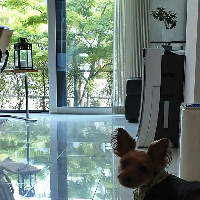 anriさんの実例写真