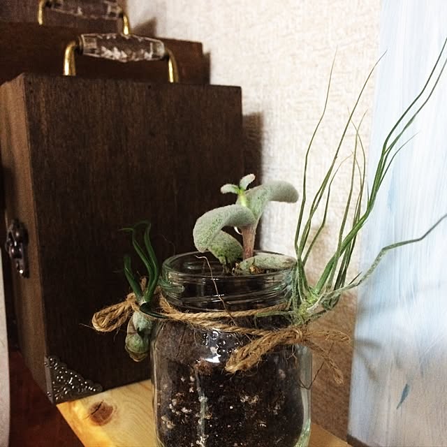 sabisukeさんの実例写真