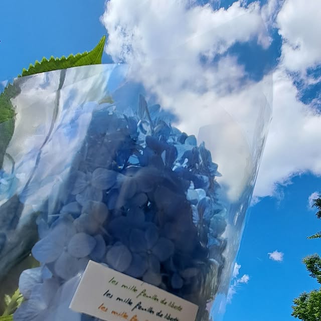 noaさんの部屋