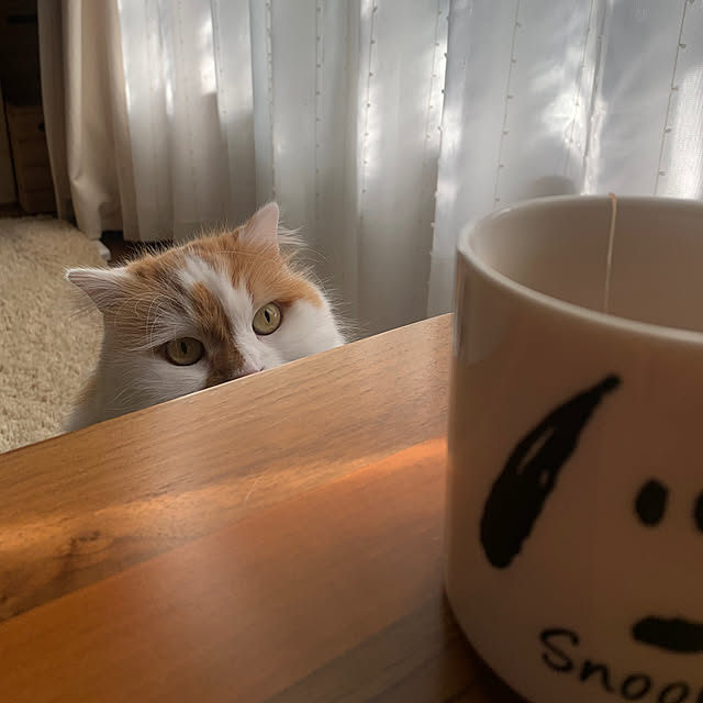 keiさんの実例写真