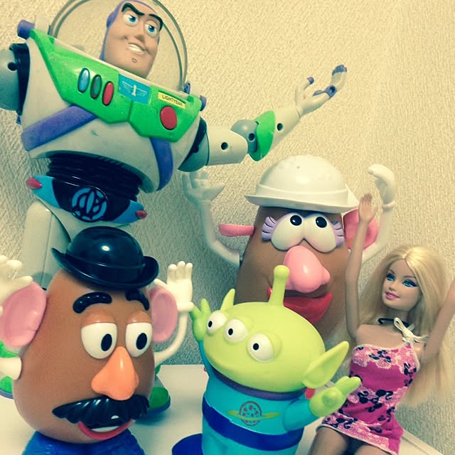 SaRa_Toyさんの実例写真