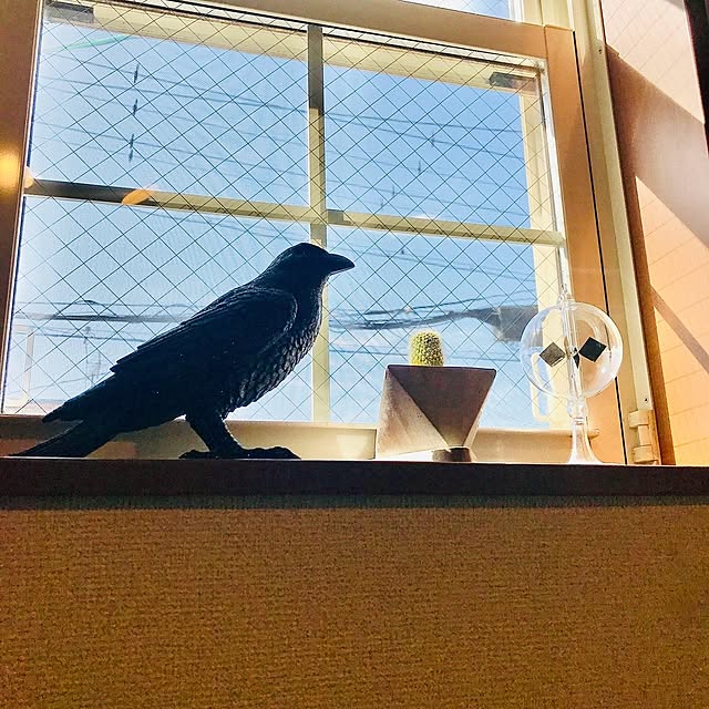 Anne_Yukiyanagiさんの実例写真