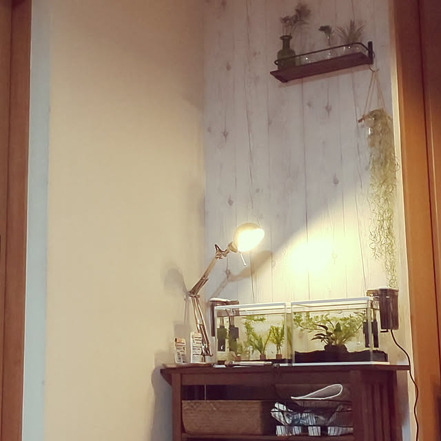 mizuさんの実例写真