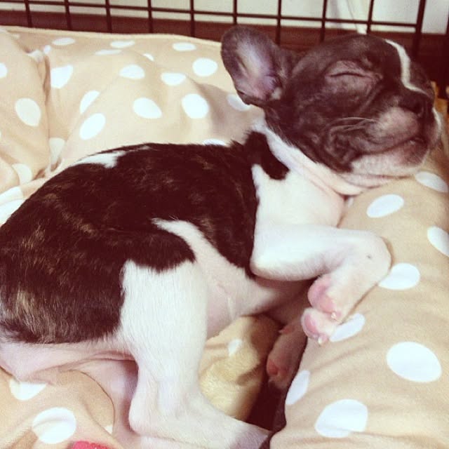 Mimizuさんの実例写真