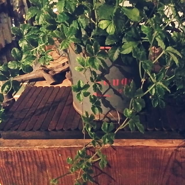 shinji19730515さんの実例写真
