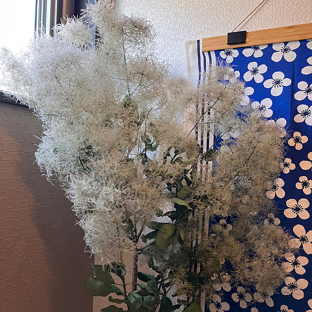 kojimasaさんの実例写真