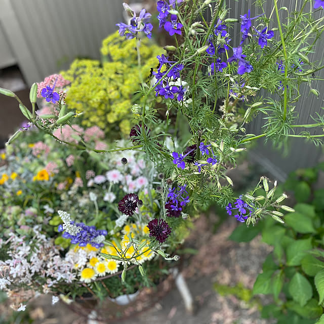GreenWorksさんの部屋